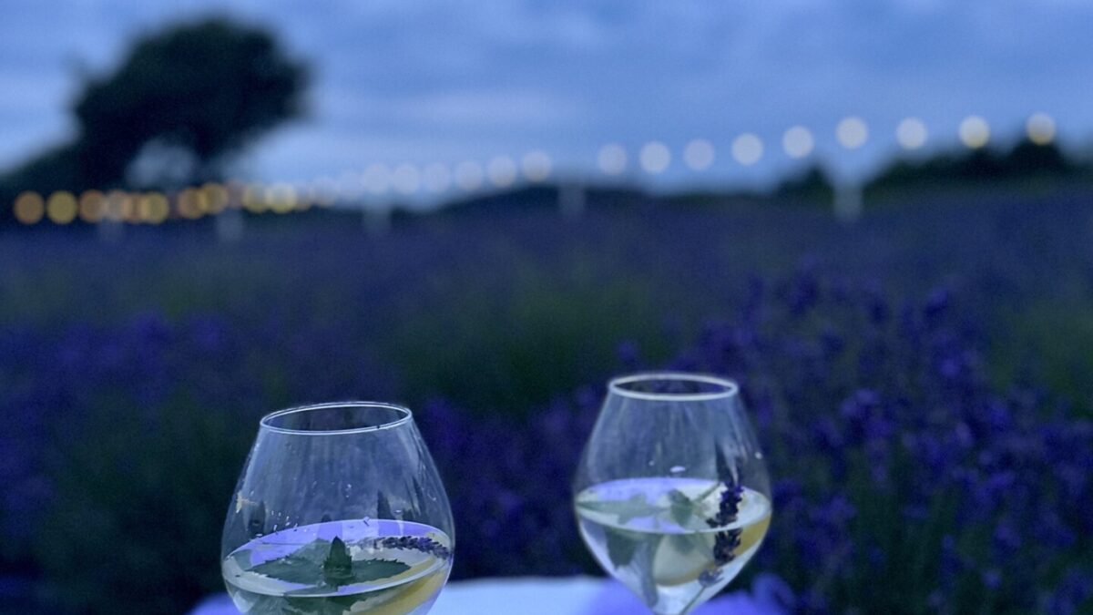 Muzyczny wieczór w lawendowych tonach: Wyjątkowy koncert w Łobzie