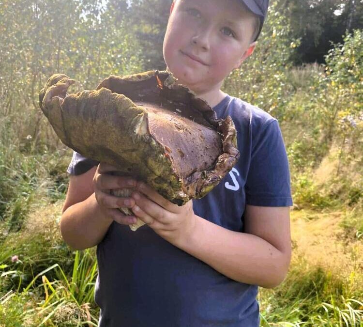 Wielkie znaleziska w konkursie “Znajdź olbrzyma 2025”