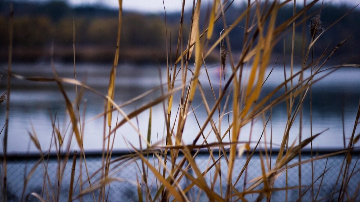 Nowa opłata turystyczna – szansa na rozwój samorządów