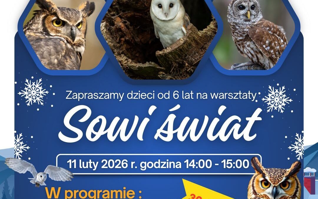 Ferie z sowami w Radowie Małym – niezapomniana przygoda czeka na najmłodszych