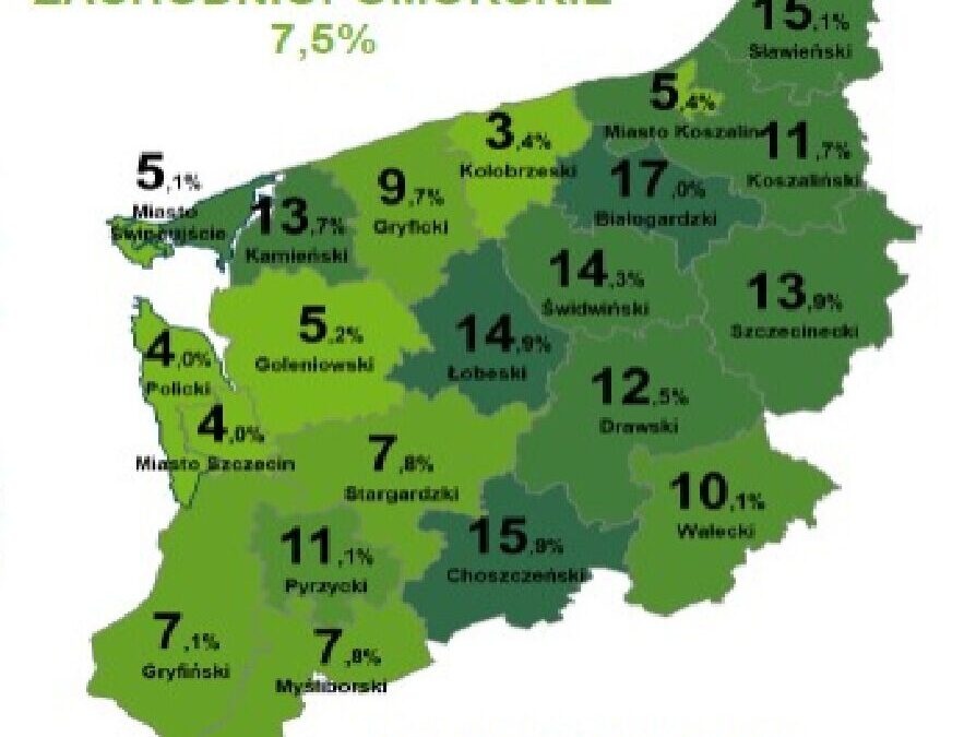Rynek pracy w Zachodniopomorskim: Wysoka stopa bezrobocia na tle kraju