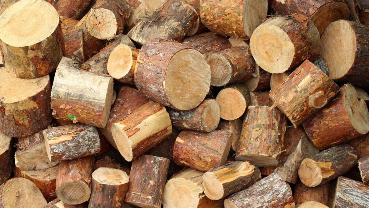 Zaostrzone kontrole ogrzewania domów: nowe przepisy antysmogowe