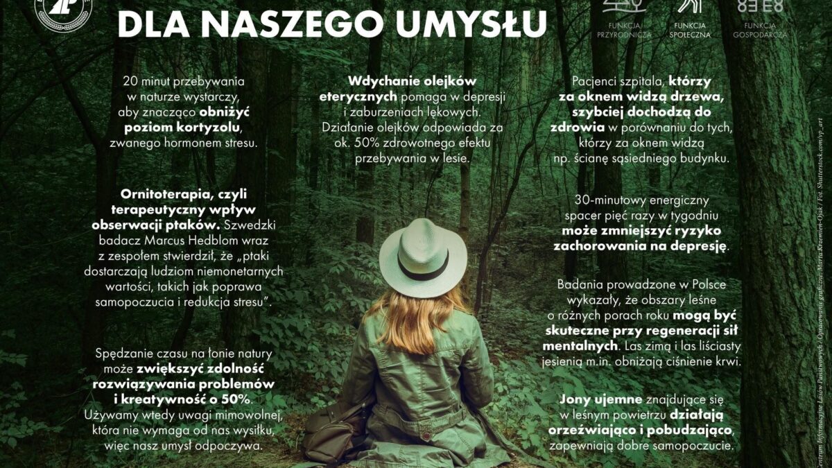 Aktywność na łonie natury – las zaprasza podczas ferii