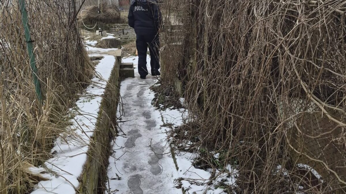 Działania prewencyjne “Bezpieczny Powiat” w powiecie łobeskim