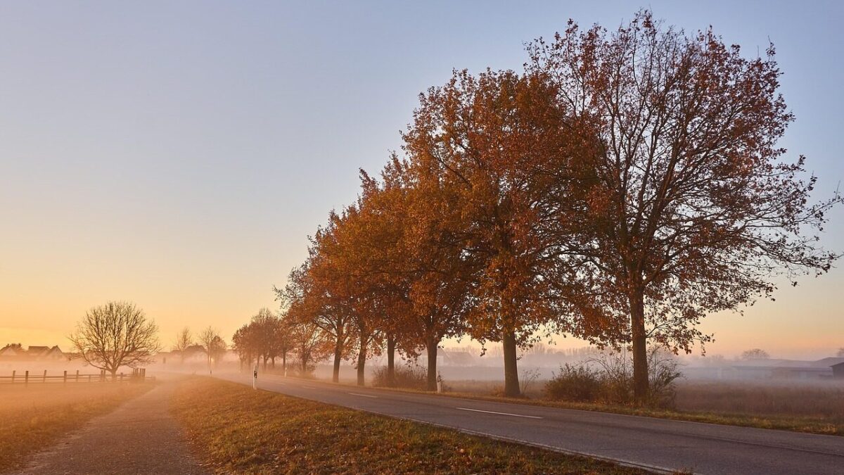 Bezpieczeństwo mieszkańców Winnik wzrośnie dzięki nowemu chodnikowi przy DK20