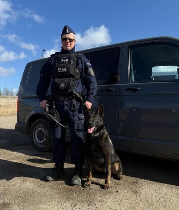 Kali – pies na służbie mieszkańców powiatu łobeskiego [WIDEO]