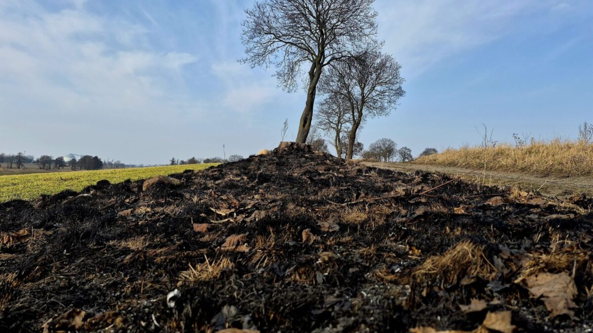 Nielegalne i niebezpieczne – wypalanie traw na wiosnę
