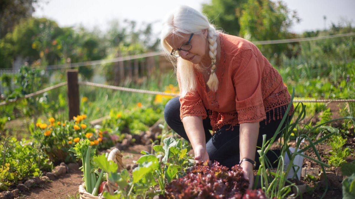„Przyjazne ogrody” 2026 — Konkurs od Samorządu Województwa Zachodniopomorskiego