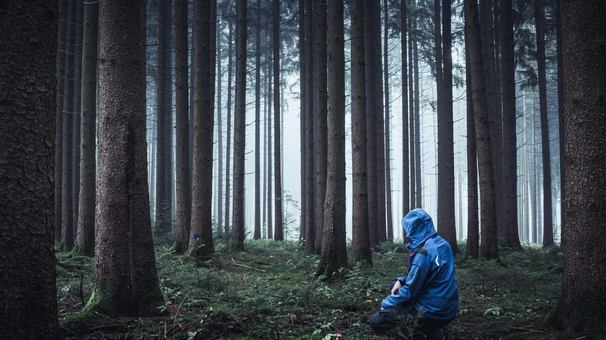 Program “Zanocuj w lesie” – leśnik i podróżnik wyjaśnia ochronę przyrody [WIDEO]