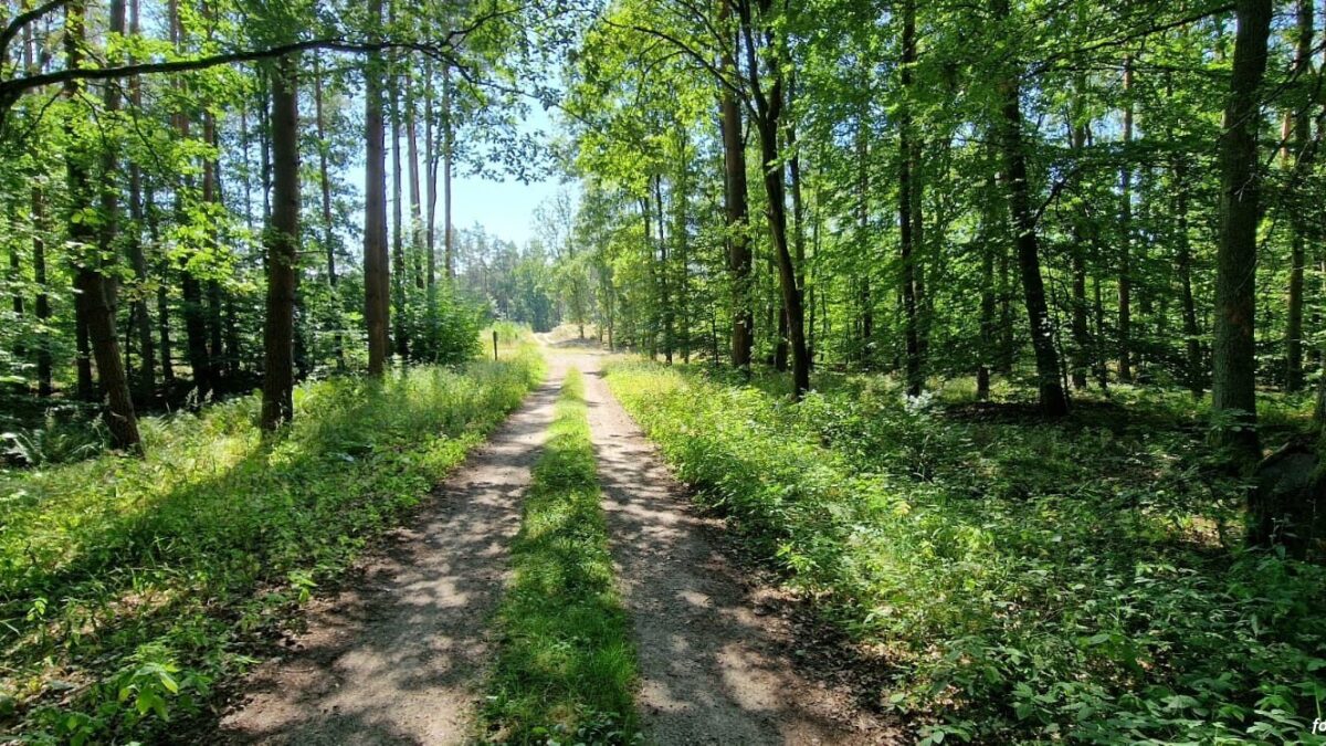 Dofinansowanie na koncepcję wspólnych szlaków turystycznych w powiatach drawskim, łobeskim i świdwińskim